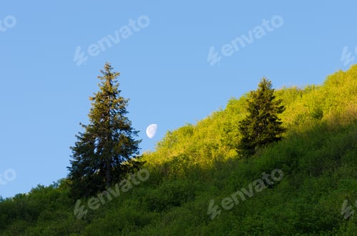 Preview: Moon over a mountain hill
