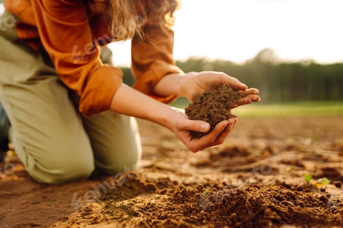 Preview: Young female farmer's hands touch dry soil in an agricultural field. Gardening and ecology concept.