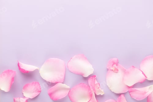 Preview: Rose flowers petals on pastel background. Valentines day background. Flat lay, top view, copy space.