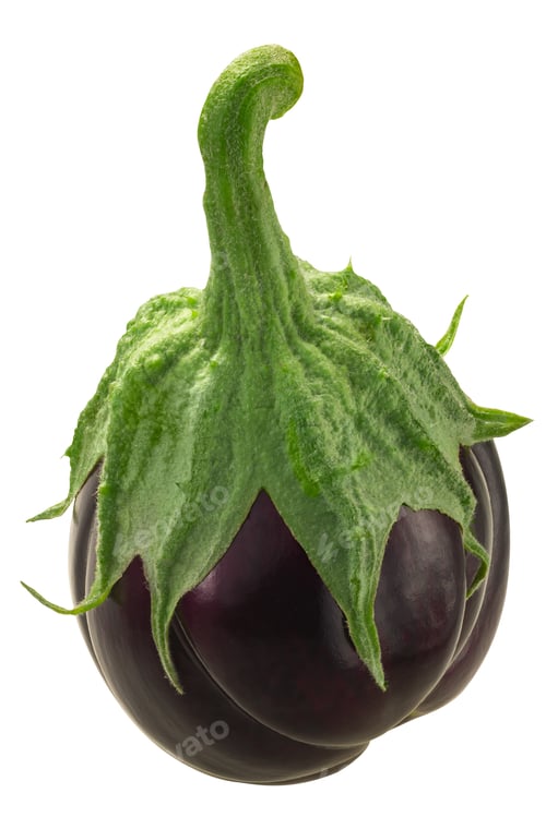 Preview: Ribbed eggplant or aubergine whole, isolated