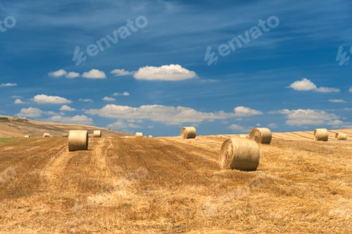 Preview: Rural landscape in Basilicata at summer