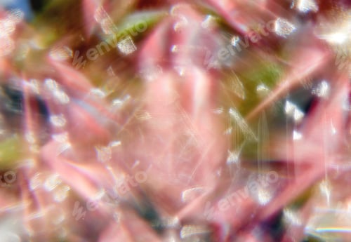 Preview: The colorful abstract background