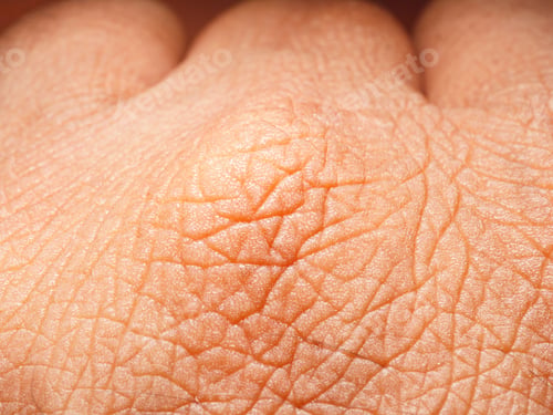 Close up of Human Skin