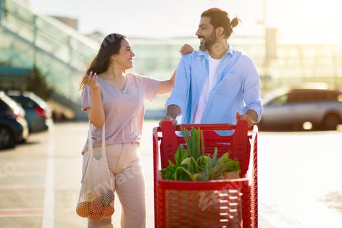 Preview: Happy middle eastern couple with shopping cart full of groceries