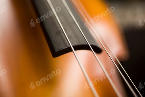 Preview: Upright bass