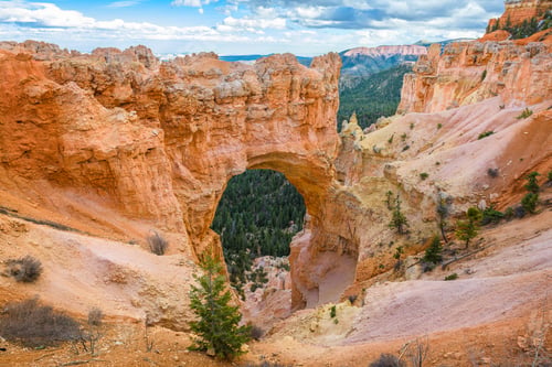 Preview: Bryce Canyon National Park, Utah, at the Natural Bridge
