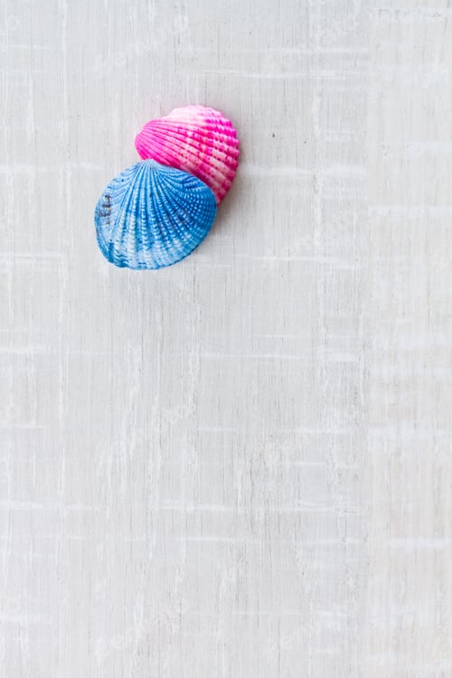 Preview: Blue and pink Sea shells on the deck