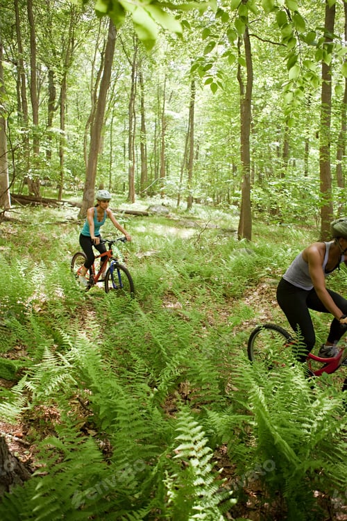 Preview: Two friends mountain biking on a sunny day through a lush fern forest trail.