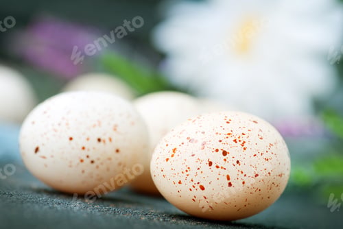 Preview: easter eggs