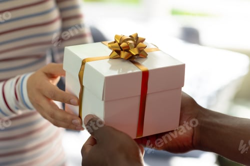 Preview: Midsection of diverse couple exchanging christmas gift in sunny room