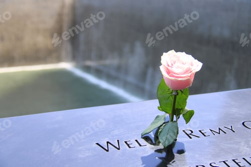 Preview: Pink Rose on memorial Plaque