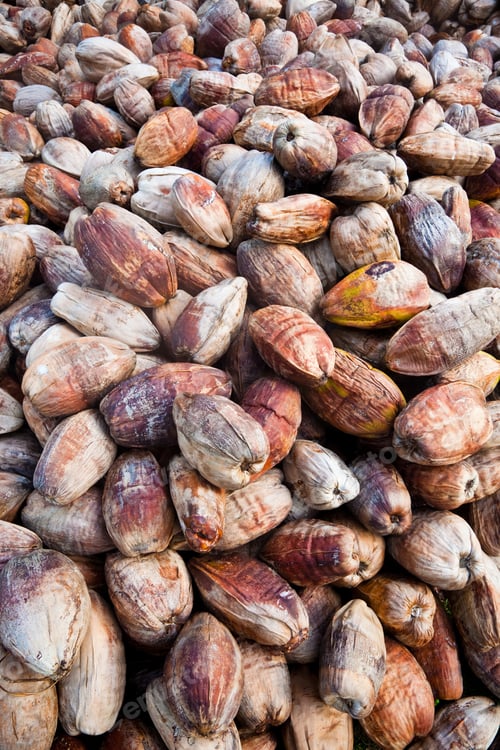 Preview: coconut shell