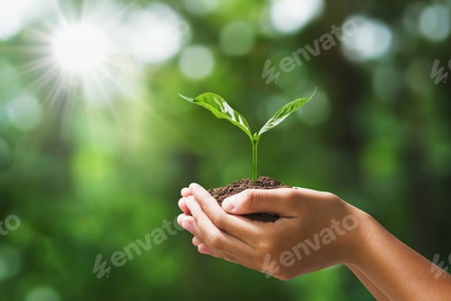 Preview: hand holding young plant on blur green nature background. concept eco earth day