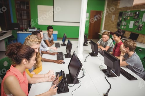 Preview: Smiling students studying in computer classroom