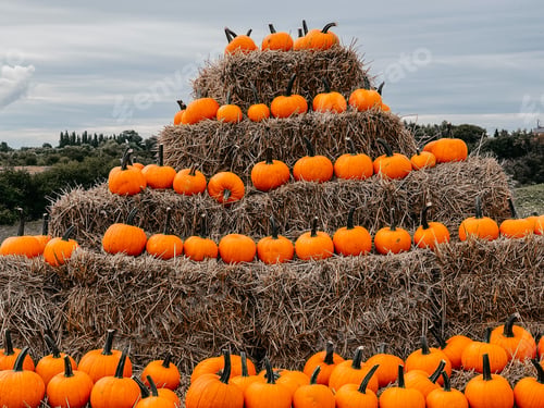 Preview: Pumpkins