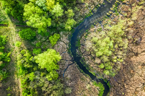 Preview: Green forest and river in spring, aerial view