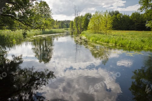 Preview: Summer view at the river
