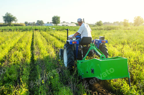 Preview: A farmer on a tractor drives across the field and digs potatoes. Extract root vegetables to surface.