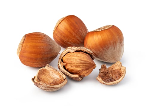 Preview: Hazelnuts on white background