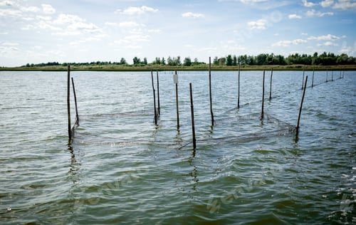 Preview: Fishing nets on the lake Zalew Wislany Vistula Lagoon Poland