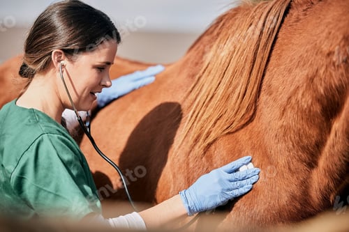 Preview: Woman vet, stethoscope and horse farm with wellness, healthcare and support with animal in countrys
