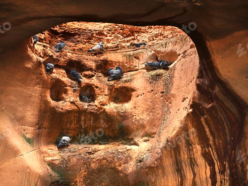 Preview: Columbarium Caves at Beit Guvrin, Israel