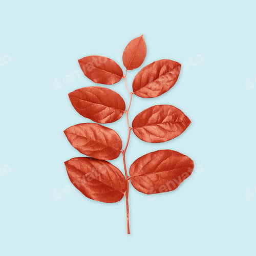 Preview: red leaves on blue background