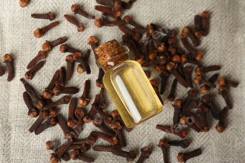 Preview: Essential oil and dried cloves on grey fabric, flat lay