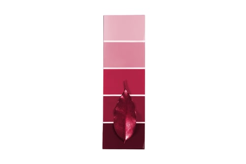 Preview: #7426 Pink color pallet isolated on a transparent background