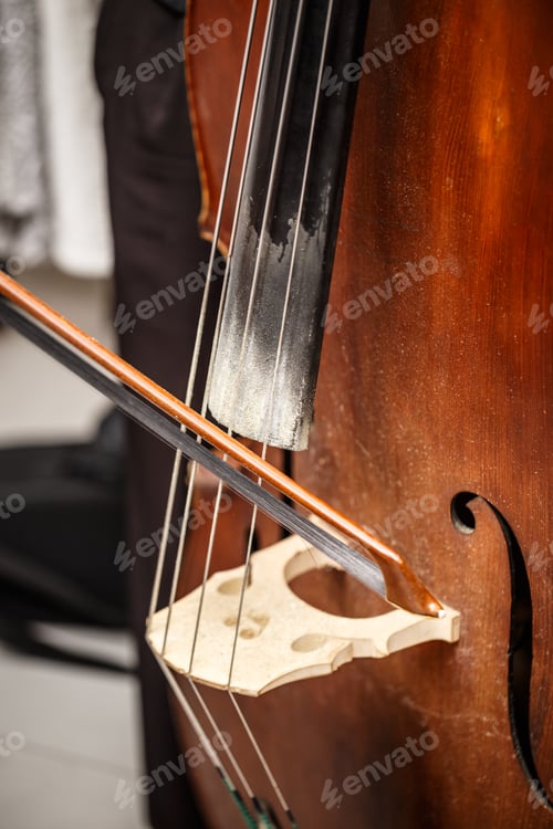 Preview: Double bass bridge