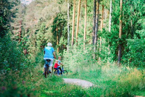Preview: Senior Grandmother With Kids Riding Bikes In Nature