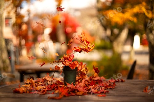 Preview: Coffee cup on the wooden table with autumn leaves in the background