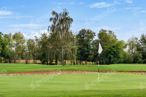 Preview: Green golf course with trees and flag