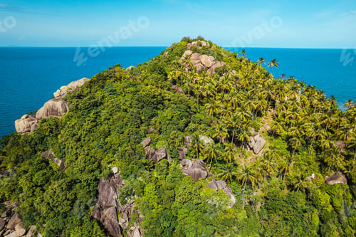 Preview: tropical island and sea view form above