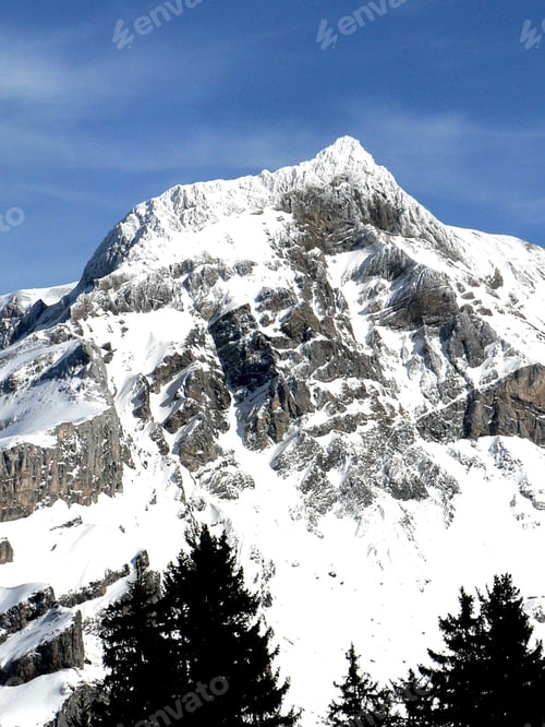 Preview: Scenic view of a mountain with a layer of freshly fallen snow, and trees below
