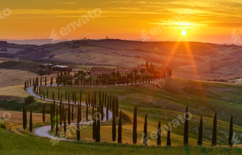 Preview: Sunset over the rolling hills, green fields, cypresses trees and winding road in Tuscany, Italy
