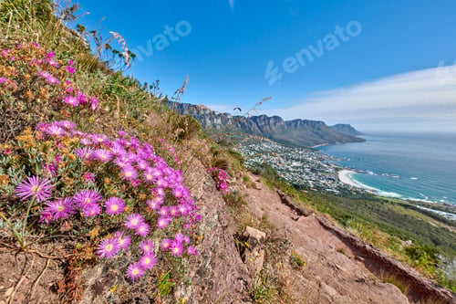 Preview: Mountain trails - Lions Head and Table Mountaion