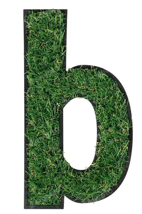 Preview: Letter B made of green grass isolated on white.
