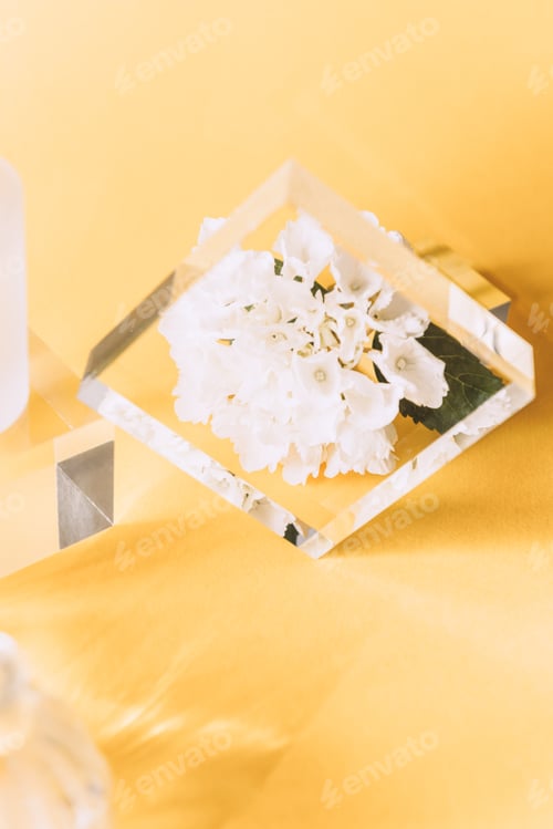 White Flowers in a Glass Box on Yellow