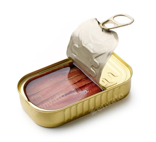 Preview: Open Can of Sardines in Oil on White