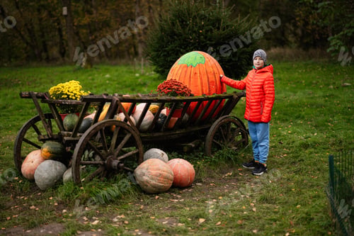 Preview: Child enjoying a day at the autumn pumpkin patch