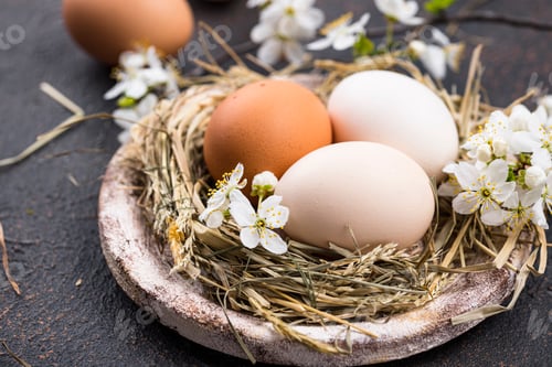 Preview: Easter composition with eggs and blooming branch