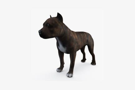 Visualização: Brindle staffordshire bull terrier na visualização de perfil