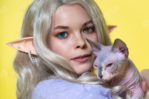 Preview: Portrait of cosplay elf young woman holding Sphinx cat in her hands on yellow background