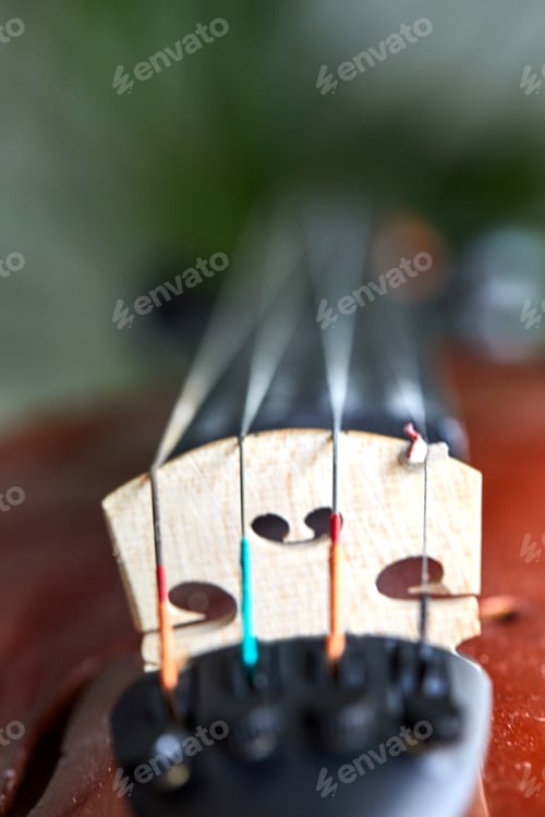 Preview: Detail of violin. Selective focus with shallow depth
