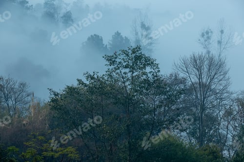Preview: Foggy