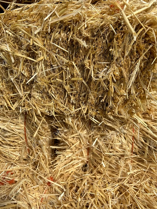 Preview: Background of hay
