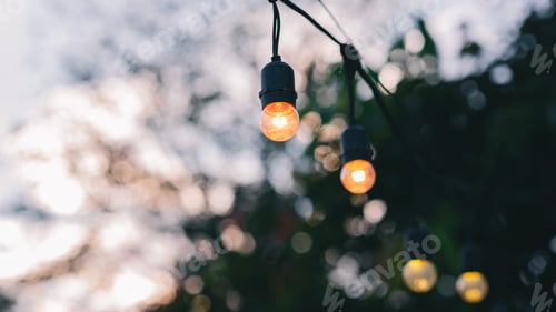 Preview: Electric light bulbs at the twilight.