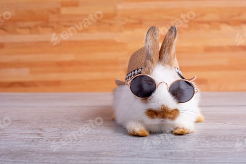 Preview: One of little adorable bunny rabbit with sun glasses lie on gray table with brown wood pattern