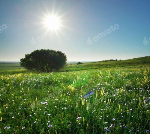 Preview: Spring tree